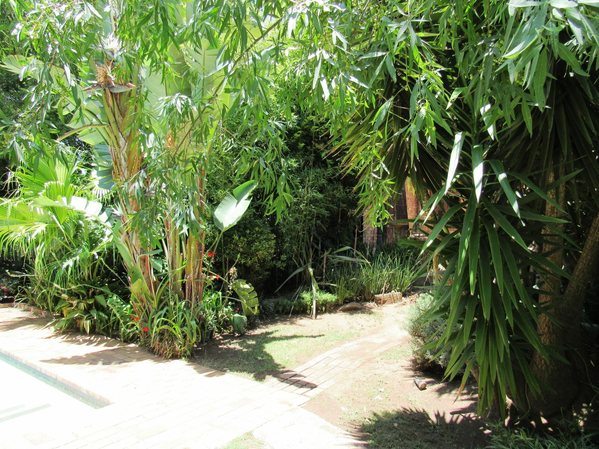 House On York Hotel Johannesburg Luaran gambar